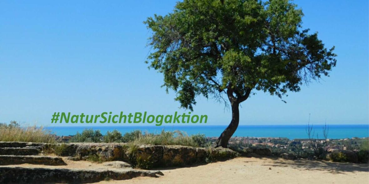 Blogaktion „Vom Wert der Natur in der Selbstständigkeit“